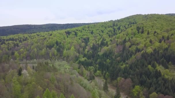 Hermosa Toma Aérea Verdes Colinas Valles Naturaleza Las Montañas Bieszczady — Vídeos de Stock