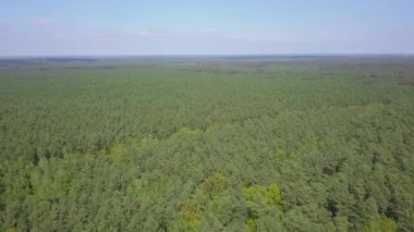 İlkbaharda ormanın hava görüntüleri.