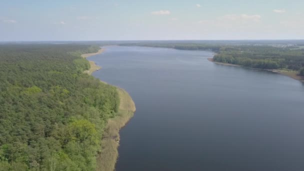 Летние Съёмки Озера Воздуха Люди Плавают Отдыхают Воде Которую Видят — стоковое видео