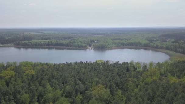 Filmagem Aérea Lago Verão Pessoas Navegando Descansando Água Vista Cima — Vídeo de Stock