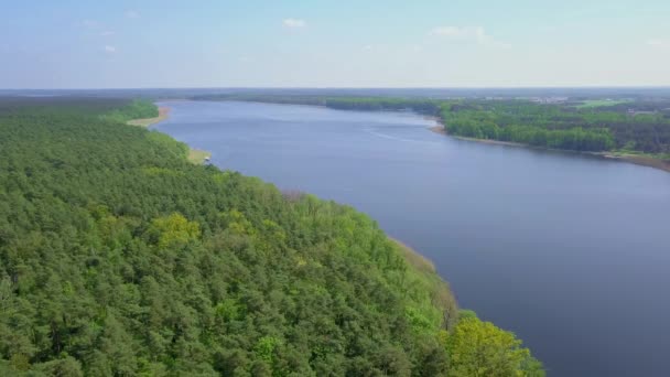 夏の湖の空中映像 上から見た水の中でセーリングや休憩をしている人 — ストック動画