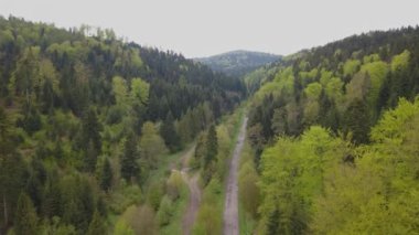 Yeşil tepeler ve vadiler güzel hava atış. Bieszczady Dağlar yukarıda da görüleceği doğası.