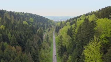 Yeşil tepeler ve vadiler güzel hava atış. Bieszczady Dağlar yukarıda da görüleceği doğası.