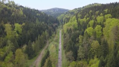 Yeşil tepeler ve vadiler güzel hava atış. Bieszczady Dağlar yukarıda da görüleceği doğası.