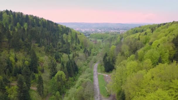 Piękne Zdjęcia Lotnicze Zielonymi Wzgórzami Dolinami Charakter Bieszczadów Góry — Wideo stockowe