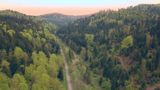 Mooie Luchtfoto Van Groene Heuvels Valleien Aard Van Bieszczadzki Bergen — Stockvideo