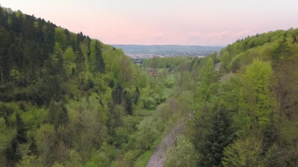 Hermosa Toma Aérea Verdes Colinas Valles Naturaleza Las Montañas Bieszczady — Vídeo de stock