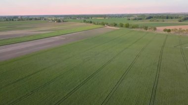 Yukarıdan görünen yeşil alanlar. Sıcak ışıkta köy yolu.