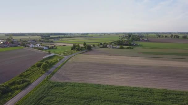 Campos Verdes Vistos Desde Arriba Camino Del Campo Luz Cálida — Vídeos de Stock