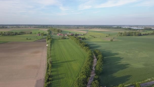 Champs verts vus d'en haut. Route de campagne à la lumière chaude.