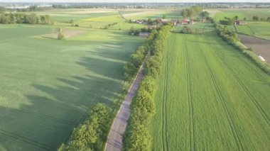Yukarıdan görünen yeşil alanlar. Sıcak ışıkta köy yolu.