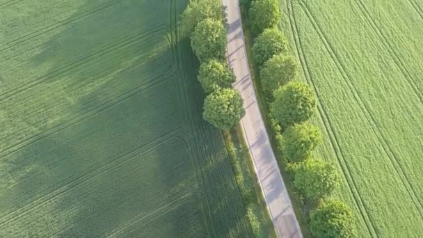 Champs verts vus d'en haut. Route de campagne à la lumière chaude.