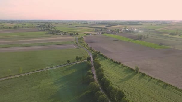 Yukarıdan Görünen Yeşil Alanlar Sıcak Işıkta Köy Yolu — Stok video