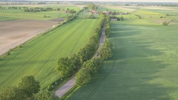 Zielone Pola Widziane Góry Droga Wiejska Ciepłym Świetle — Wideo stockowe