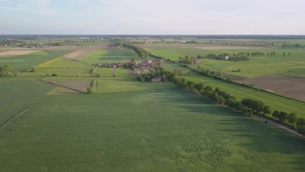 Champs verts vus d'en haut. Route de campagne à la lumière chaude.