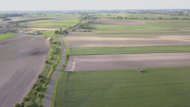 Grüne Felder Von Oben Gesehen Landstraße Bei Warmem Licht — Stockvideo