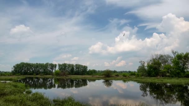 Imagens Lapso Tempo Nuvens Tempestuosas Movendo Céu Paisagem Rural Verão — Vídeo de Stock