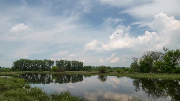 Images temporelles de nuages orageux se déplaçant sur le ciel. Paysage rural en été .