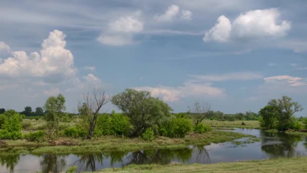 Images Temporelles Nuages Orageux Déplaçant Sur Ciel Paysage Rural Été — Video