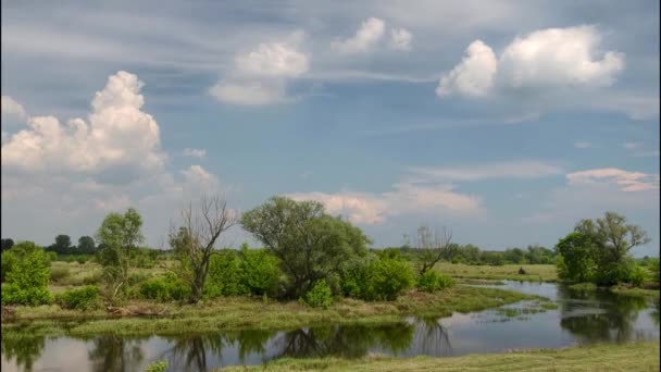 Imágenes Lapso Tiempo Nubes Tormentosas Moviéndose Cielo Paisaje Rural Verano — Vídeos de Stock