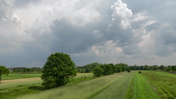 Imágenes Lapso Tiempo Nubes Tormentosas Moviéndose Cielo Paisaje Rural Verano — Vídeo de stock