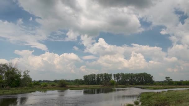 嵐の雲の時間経過映像が空を動いている 夏の田園風景 — ストック動画