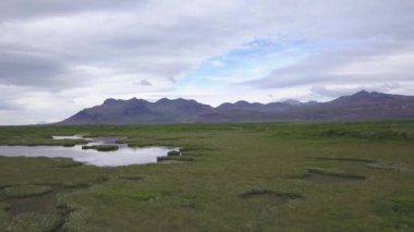 İzlanda 'da manzara. Yeşil çayırdaki küçük gölcükler.