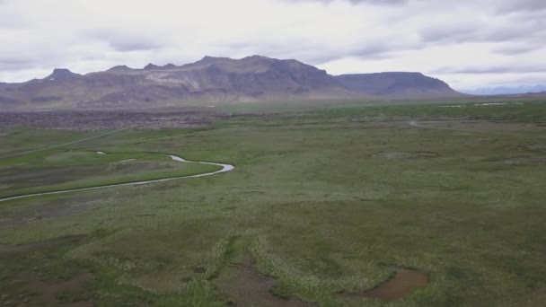 Krajobraz Islandii Małe Stawy Zielonej Łące — Wideo stockowe