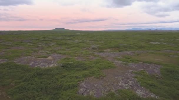 Landscape Iceland Small Ponds Green Meadow — Stock Video