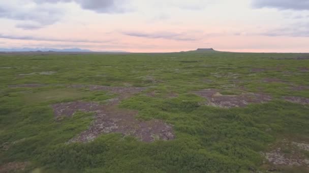 Landschap Ijsland Kleine Vijvers Een Groene Weide — Stockvideo