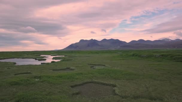 Paysage Sur Islande Petits Étangs Sur Une Prairie Verte — Video
