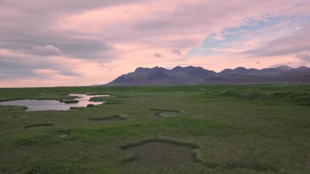 Landschaft Auf Island Kleine Teiche Auf Einer Grünen Wiese — Stockvideo