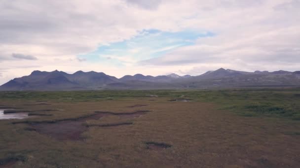 Landschaft Auf Island Kleine Teiche Auf Einer Grünen Wiese — Stockvideo