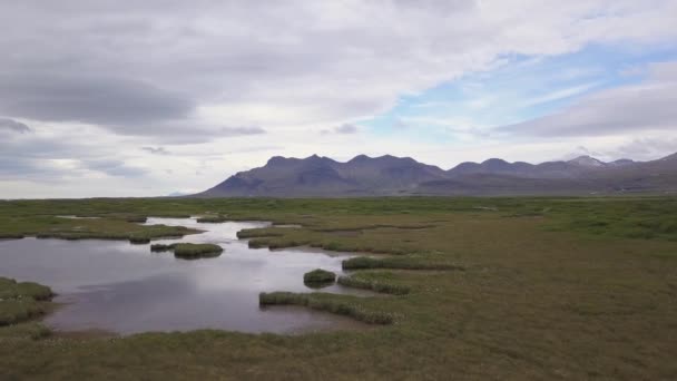 Τοπίο Στην Ισλανδία Μικρές Λίμνες Ένα Καταπράσινο Λιβάδι — Αρχείο Βίντεο