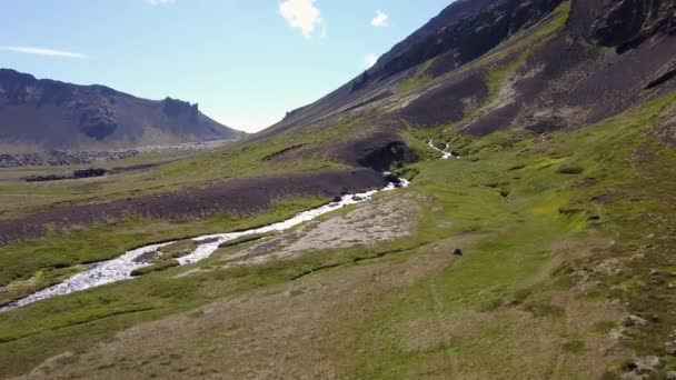 Landelijk Landschap Van Ijsland Zomer — Stockvideo