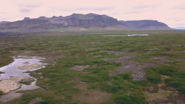 Paysage Sur Islande Petits Étangs Sur Une Prairie Verte — Video