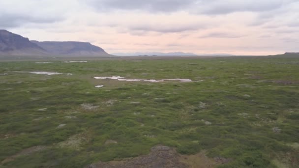アイスランドの風景 緑の牧草地に池があり — ストック動画