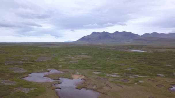 Paysage Sur Islande Petits Étangs Sur Une Prairie Verte — Video