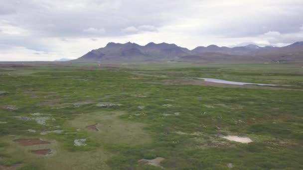 Landscape Iceland Small Ponds Green Meadow — Stock Video