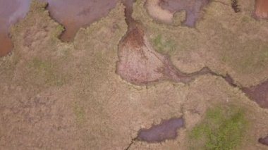 İzlanda 'da manzara. Yeşil çayırdaki küçük gölcükler.