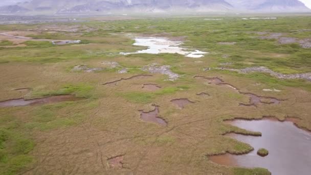 Paysage sur l'Islande. petits étangs sur une prairie verte .