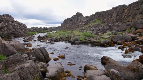 Dingvellir Ijsland Belangrijkste Attractie Van Gouden Cirkel — Stockvideo