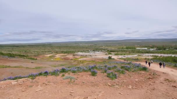 Geysir Islandii Główny Punkt Orientacyjny Złotego Kręgu — Wideo stockowe