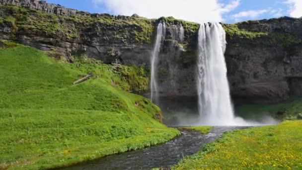Beroemdste Waterval Van Ijsland Majestueuze Seljalandsfoss Warm Zomerlicht — Stockvideo