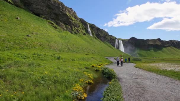 Most Famous Waterfall Iceland Majestic Seljalandsfoss Warm Summer Light — Stock Video