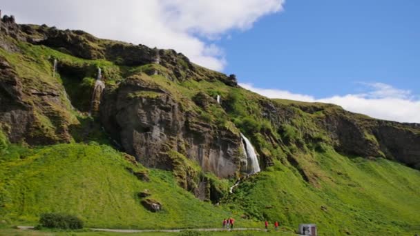 Cascada Más Famosa Islandia Majestuoso Seljalandsfoss Luz Cálida Verano — Vídeos de Stock