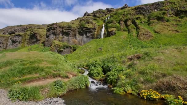 Most Famous Waterfall Iceland Majestic Seljalandsfoss Warm Summer Light — Stock Video