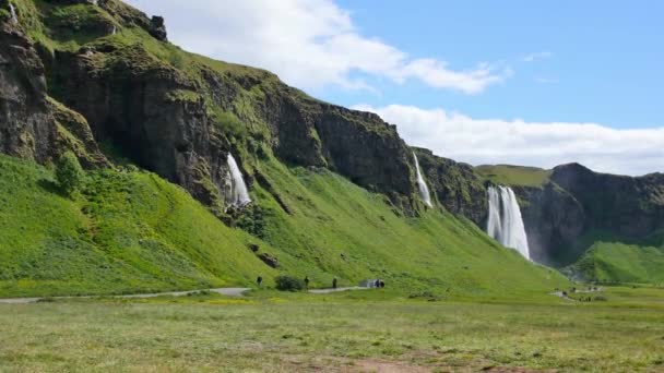 Cascada Más Famosa Islandia Majestuoso Seljalandsfoss Luz Cálida Verano — Vídeos de Stock