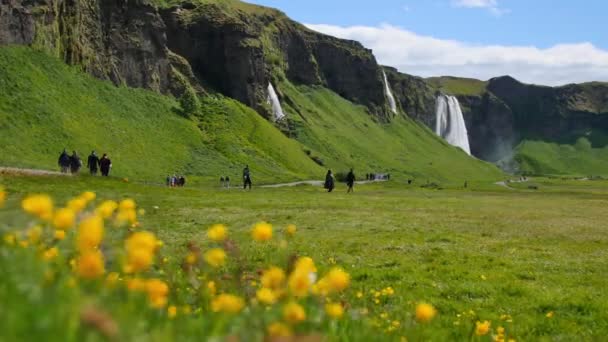 Cascade Célèbre Islande Majestueux Seljalandsfoss Dans Lumière Chaude Été — Video