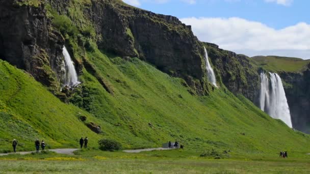 Cachoeira Mais Famosa Islândia Majestoso Seljalandsfoss Luz Quente Verão — Vídeo de Stock
